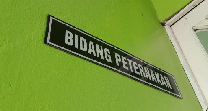 flu babi di Kapuas Hulu menjadi perhatian bidang peterbakan setempat
