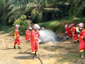 antisipasi karhutla simulasi pemadaman - ruai.tv