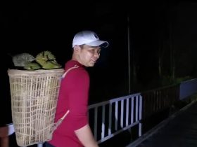 Bupati Sis Panen Durian di Datah Dian