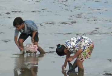 Jual Kerang Tambah Penghasilan Warga Pesisir Ketapang