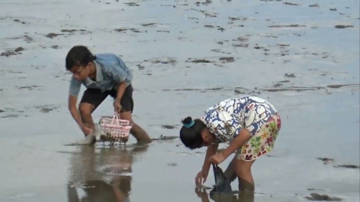 Jual Kerang Tambah Penghasilan Warga Pesisir Ketapang