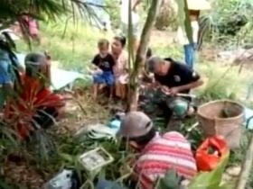 cara tradisional usir penyakit ternak - ruai.tv