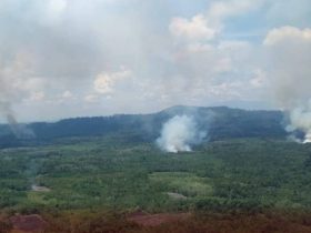 karhutla di kalbar - ilustrasi BMKG Kalbar