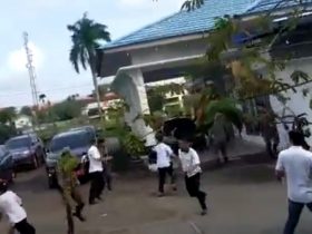 Ini Motif Oknum PNS Ketapang Lempar Molotov