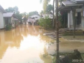 Banjir Kembali Ancam Pemukiman di Nanga Mahap