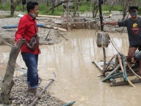 2 pekerja peti ditangkap di nanga pinoh