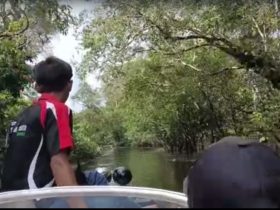Cara tangkap ikan di danau lindung - ruai.tv