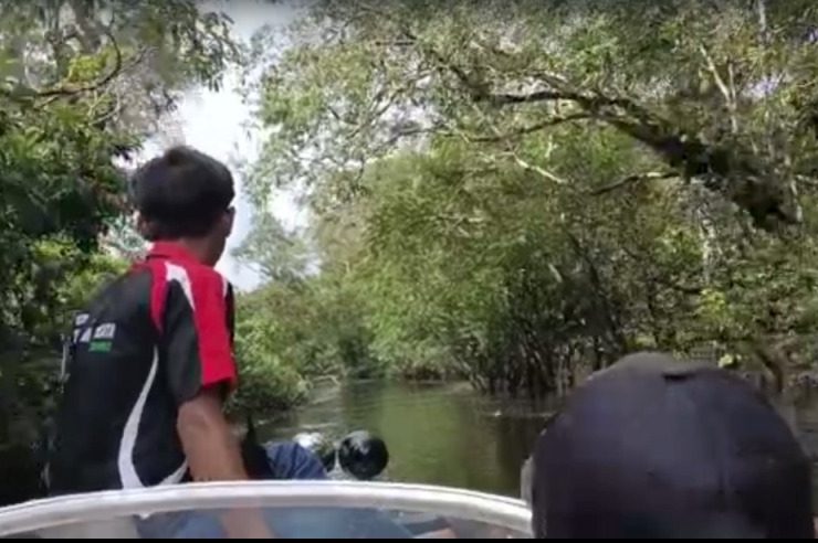 Cara tangkap ikan di danau lindung - ruai.tv