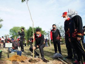 Wali Kota Pontianak Tanam Pohon Tabebuya di Singkawang