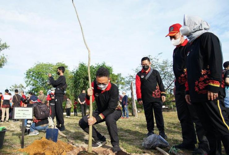 Wali Kota Pontianak Tanam Pohon Tabebuya di Singkawang