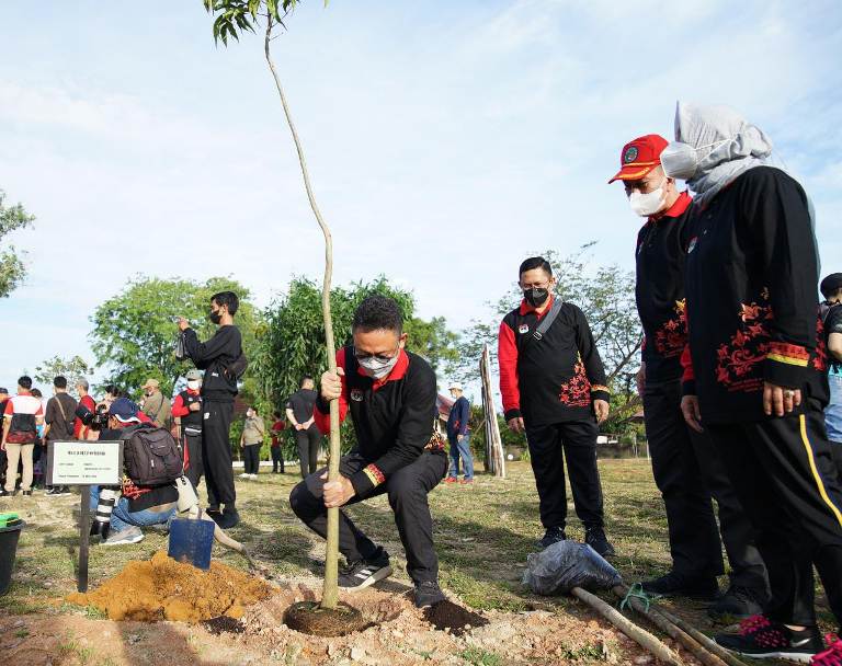 Wali Kota Pontianak Tanam Pohon Tabebuya di Singkawang