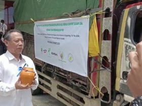 Seribu Ton Kratom Kapuas Hulu Dikirim ke Amerika