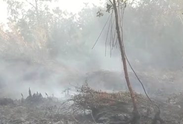 4 Hektar Lahan di Pontianak Tenggara Terbakar
