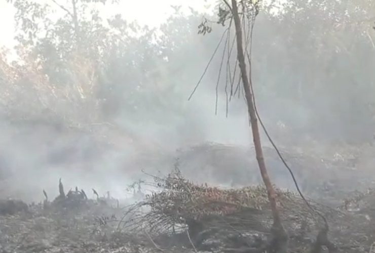 4 Hektar Lahan di Pontianak Tenggara Terbakar