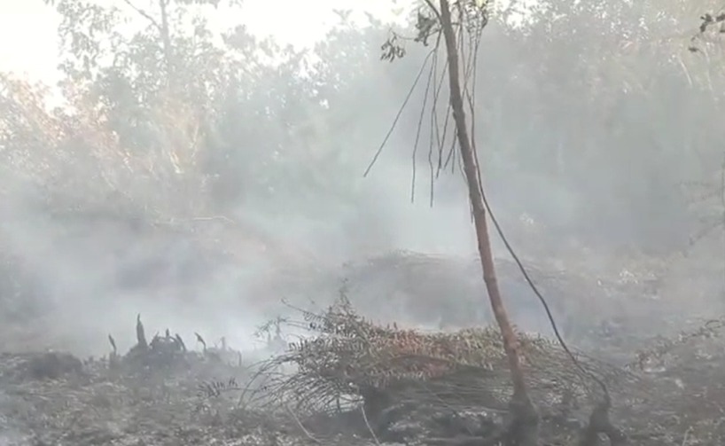 4 Hektar Lahan di Pontianak Tenggara Terbakar