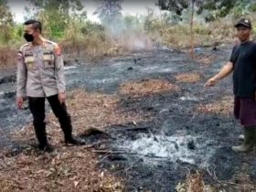 Lansia Pontianak Tewas Terjebak Kebakaran Lahan