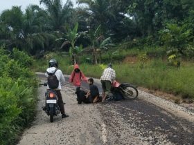 kernel sawit tumpah pemotor tergelincir