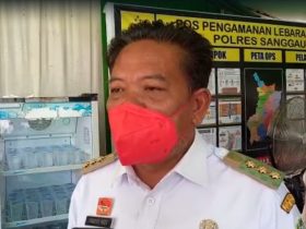 harga TBS sawit turun