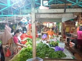 harga sawi naik