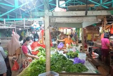 harga sawi naik