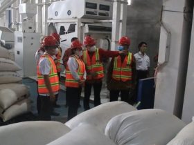 pabrik padi terbesar