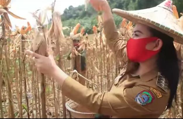 video Bupati Karolin