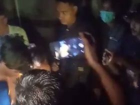 pencuri sarang walet