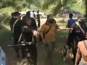 penembakan di kebun sawit