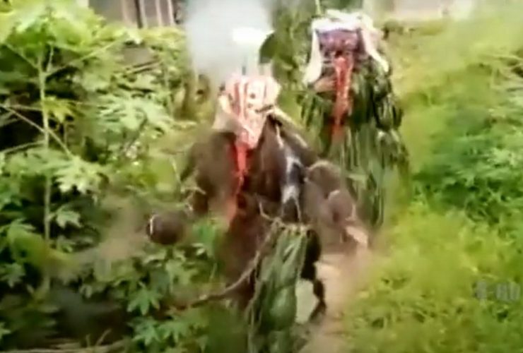 video tradisi dayak babukong