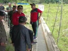 lumbung pangan kapuas hulu