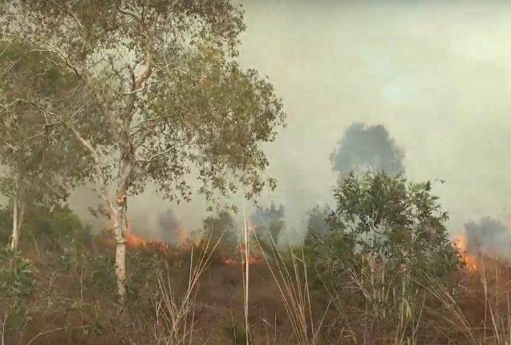 karhutla di Ketapang