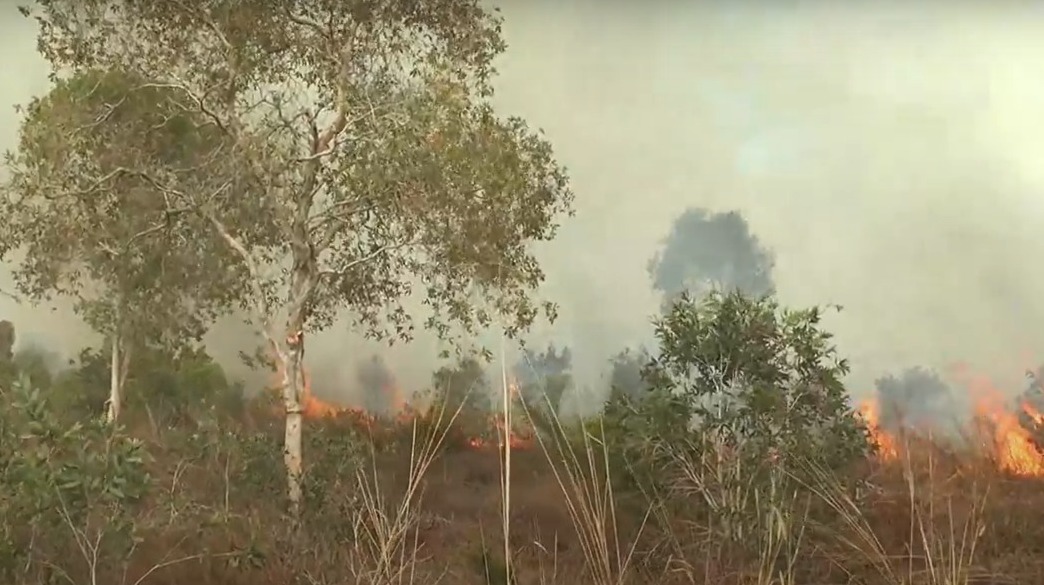 karhutla di Ketapang