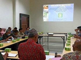 harga sawit terbaru juli 2022