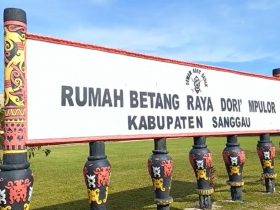 gawai dayak di sanggau