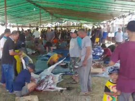 cara berkurban Desa Kinjil Pesisir