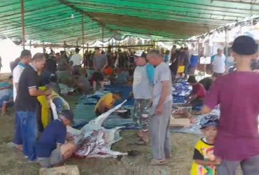 cara berkurban Desa Kinjil Pesisir