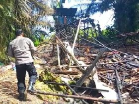 kandang ayam terbakar