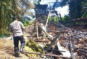 kandang ayam terbakar