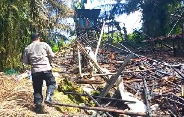 kandang ayam terbakar