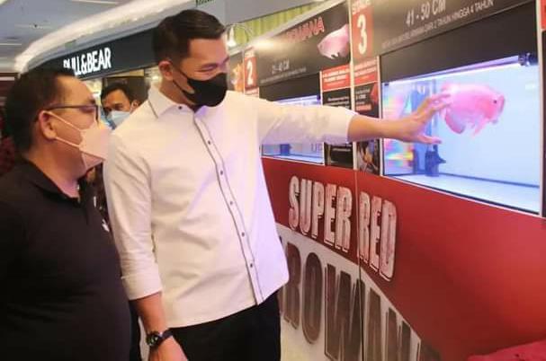 harga arwana super red