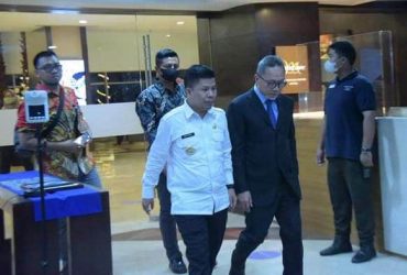 asosiasi kebupaten penghasil sawit