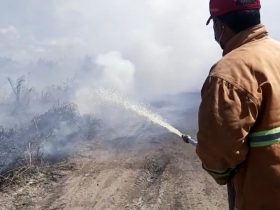 karhutla di ketapang