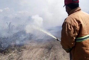 karhutla di ketapang