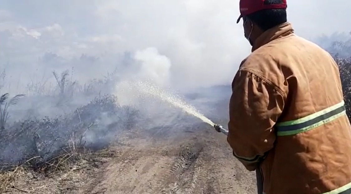 karhutla di ketapang