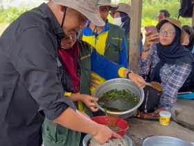 cara membuat pestisida nabati