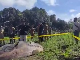 roket China jatuh di