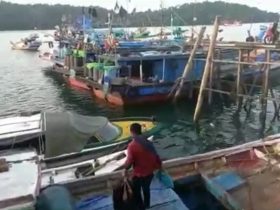 potensi ikan kayong utara