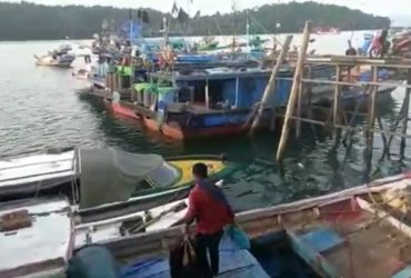 potensi ikan kayong utara