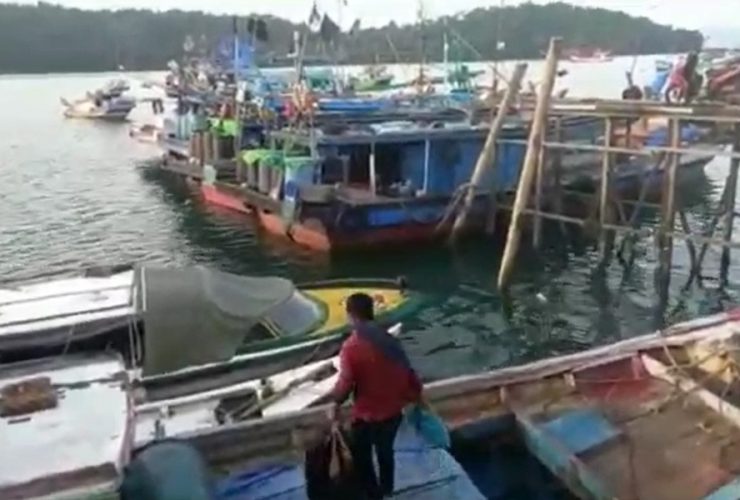potensi ikan kayong utara