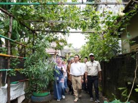 kampung sayur di pontianak